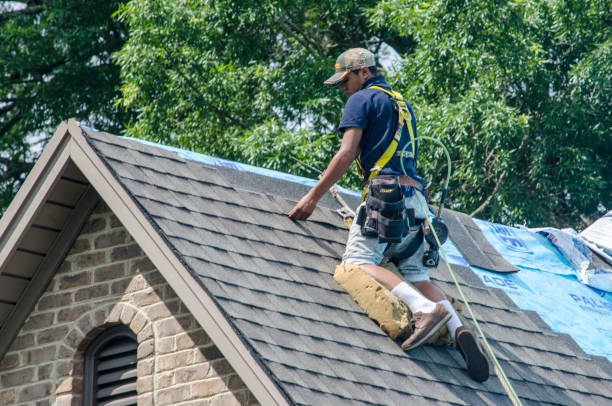 Best Roof Maintenance Services  in South Hill, VA